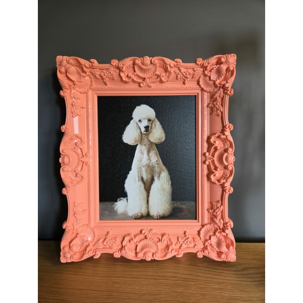 Schilderij Poedel in Peach Barok Lijst 30x35cm handgeschilderd