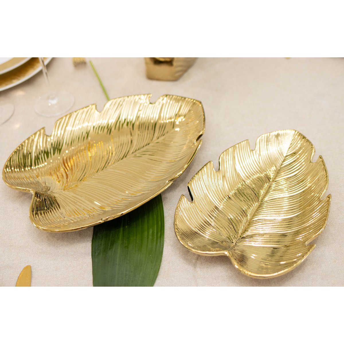 Golden Cup Tropical Sheet 25,5x18,5x3,5 cm