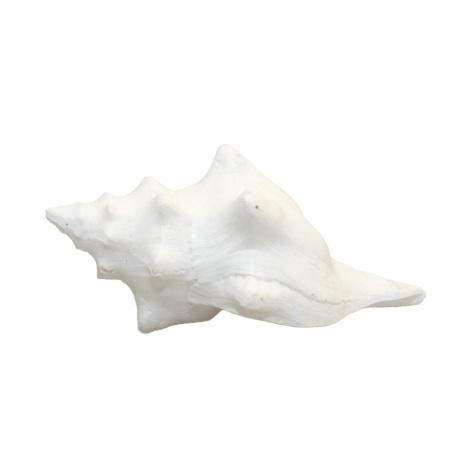 Decoratieve witte schaal 12,5x7x5cm