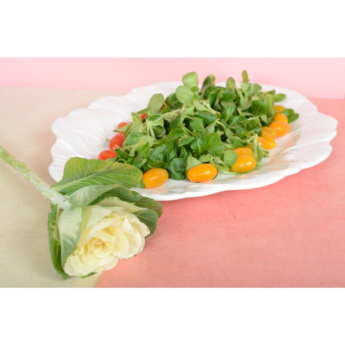 Wit ovaal gerecht in melamine 50x40x2cm