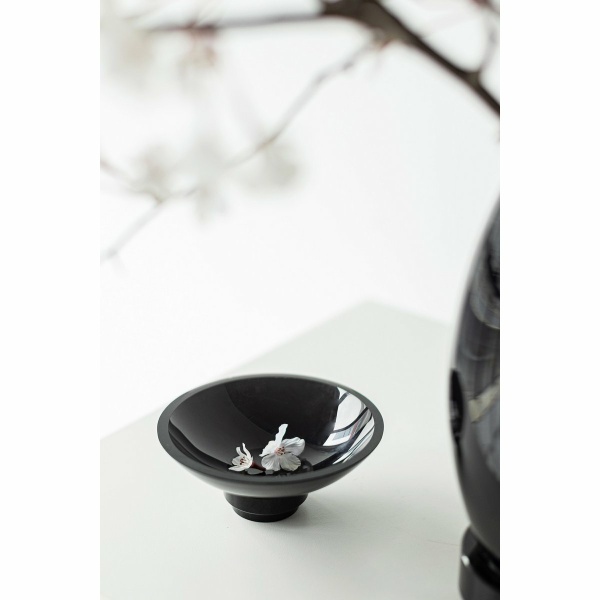 innovatieve design schaal, high end glas, RUD10ZW