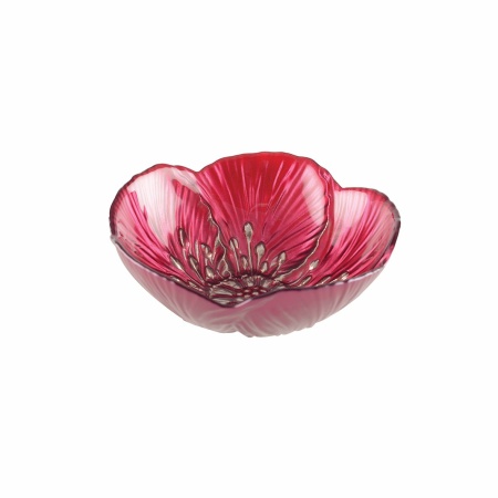 Was Fuchsia Fleur