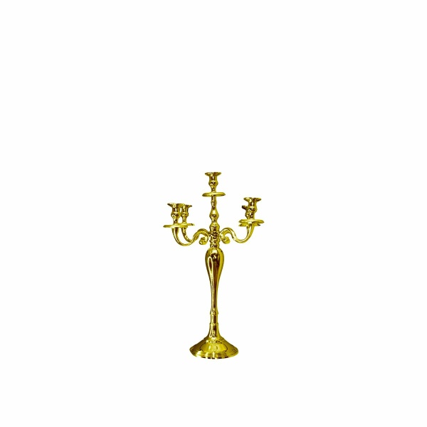 Batterij 5 gouden lichten 40 cm