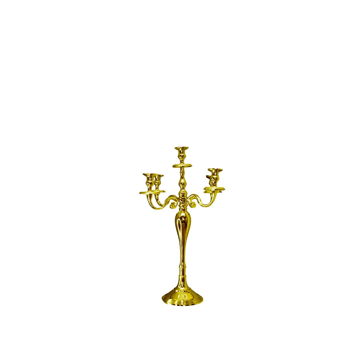 Batterij 5 gouden lichten 40 cm